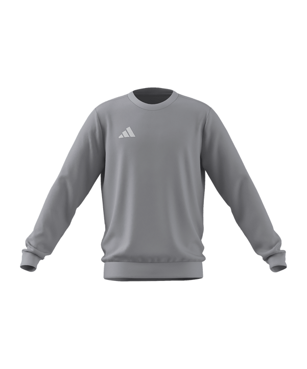 adidas Entrada 26 Sweatshirt Kids Grau 
