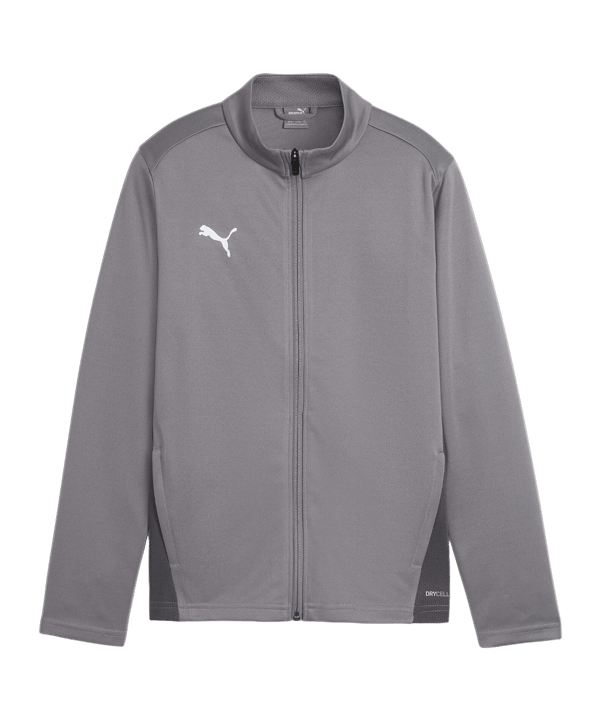 PUMA teamGOAL Trainingsjacke Kids Grau F13