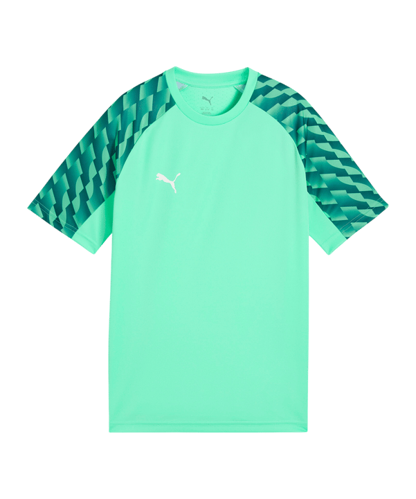 PUMA teamLIGA26 Trikot Kids Grün F80 