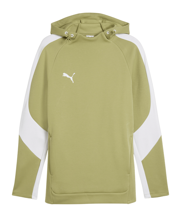 PUMA teamEvostripe Hoody Grün F40 