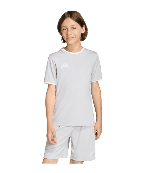 adidas Entrada 26 Trikot Kids Grau 