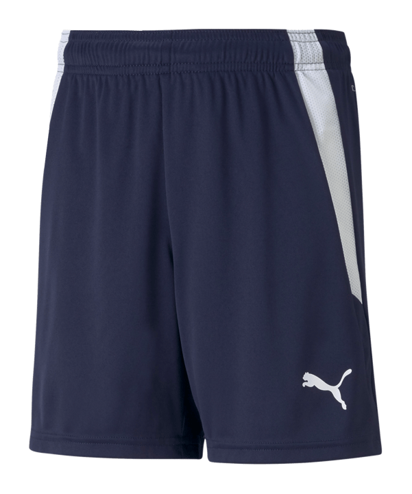 PUMA teamLIGA Short Kids Blau Weiss F06