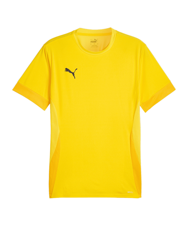 PUMA teamGOAL Matchday Trikot Gelb Schwarz F07