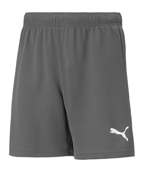 PUMA teamRISE Short Kids Grau Weiss F13