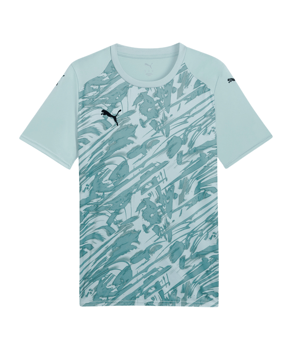 PUMA TeamFINAL Trikot Grün F41 