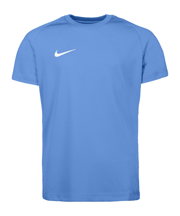 Nike Park VIII Trikot Kids Blau F412 