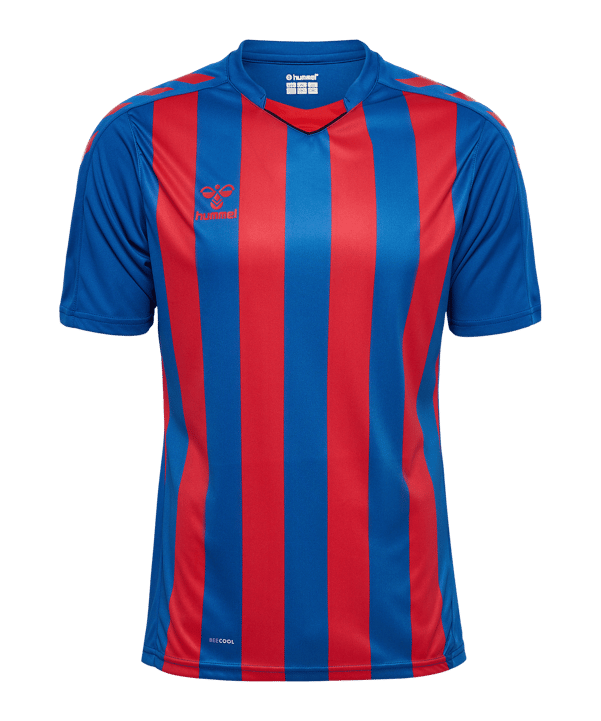 Hummel hmlCore XK Striped Trikot Blau F7358 