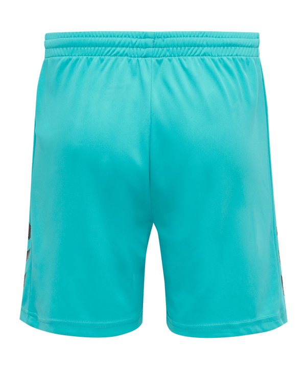 Hummel Core GK Torwarttrikotset Kids Blau F7905 - blau