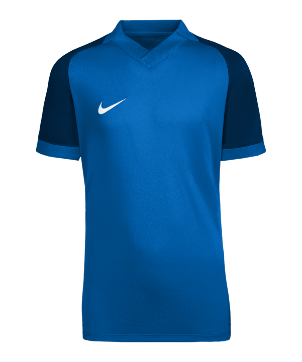 Nike Trophy VI Trikot Kids Blau F463 