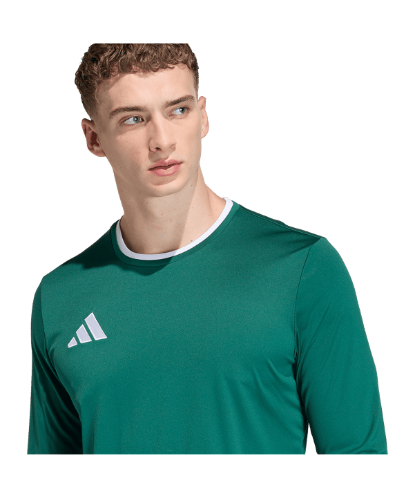 adidas Entrada 26 Trikot Langarm Grün - gruen