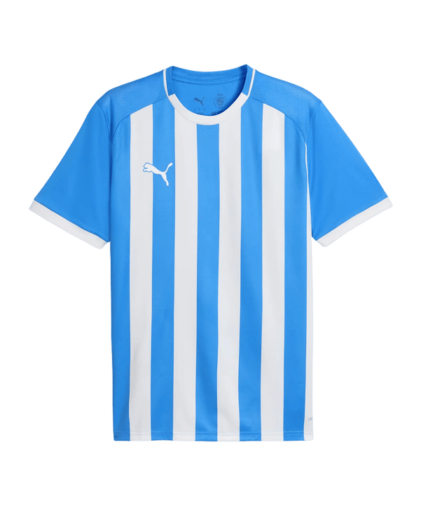 PUMA teamLIGA26 Striped Trikot Blau F02 