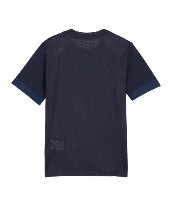 PUMA teamGOAL Matchday Trikot Kids Blau Weiss F06 - blau