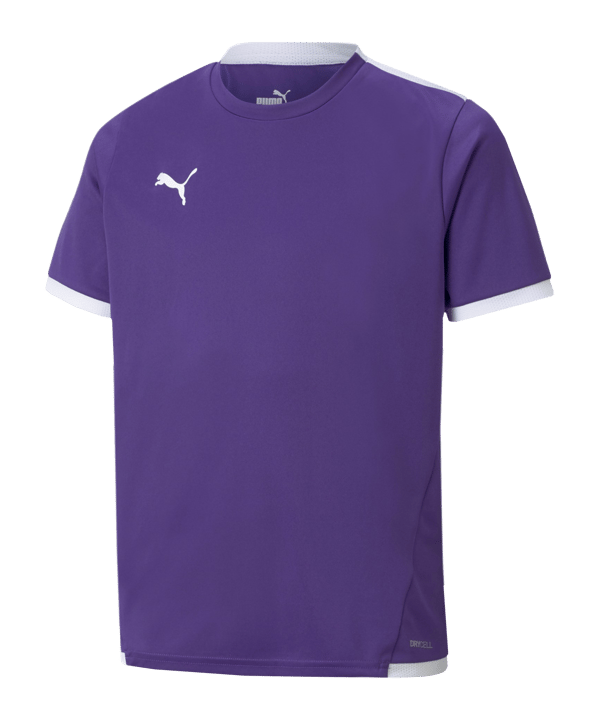 PUMA teamLIGA Trikot Kids Lila F10