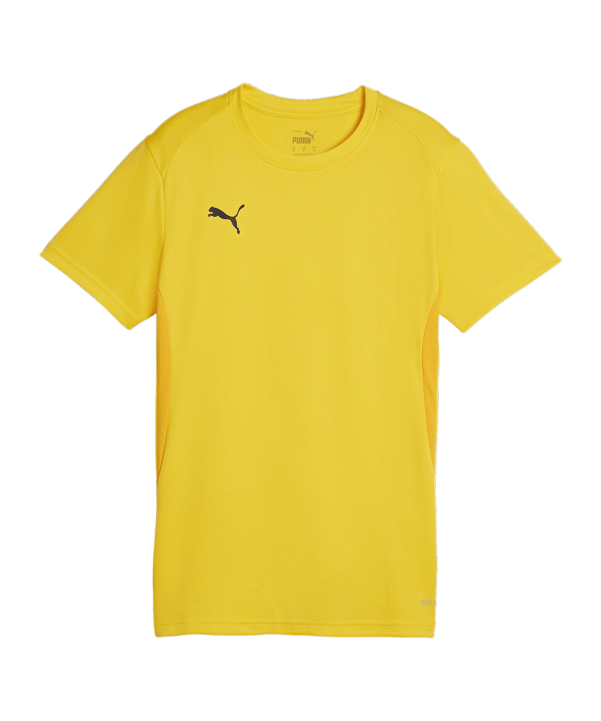 PUMA teamGOAL Trikot Damen Gelb F07
