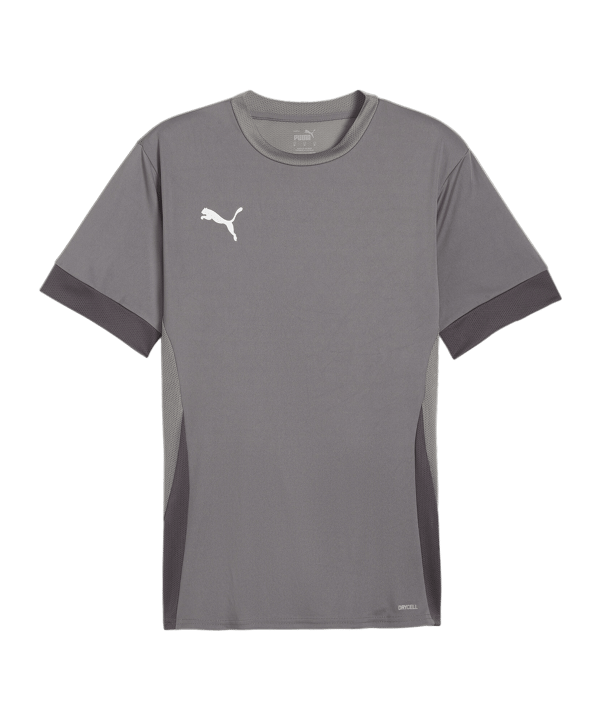 PUMA teamGOAL Matchday Trikot Grau Weiss F13 