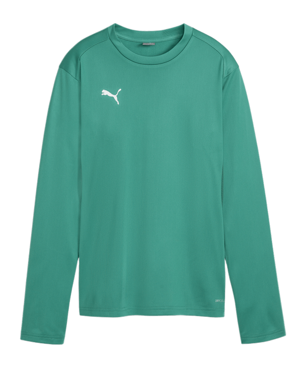 PUMA teamGOAL Training Sweatshirt Damen Grün F05