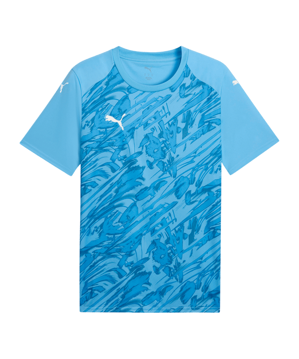 PUMA TeamFINAL Trikot Blau F18 