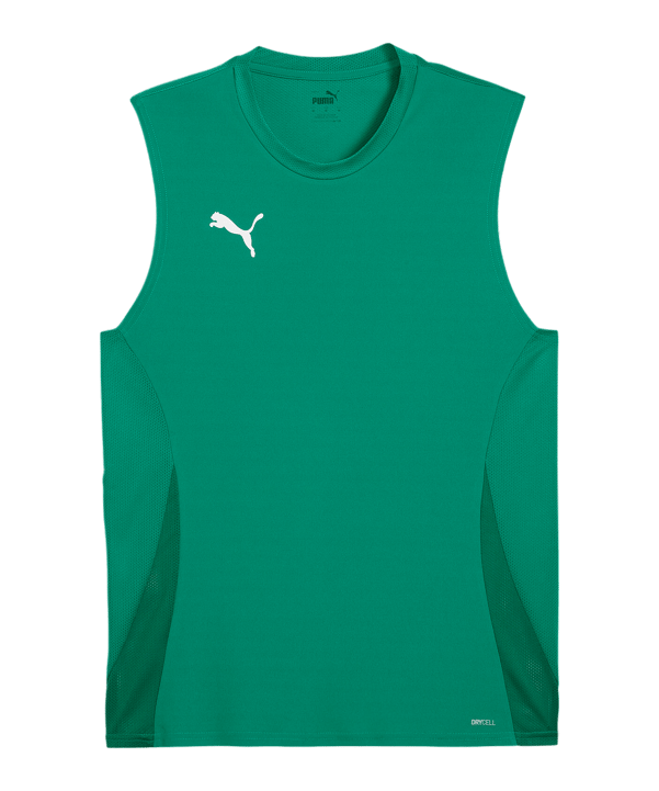 PUMA TeamGoal Trikot Grün F05 - gruen