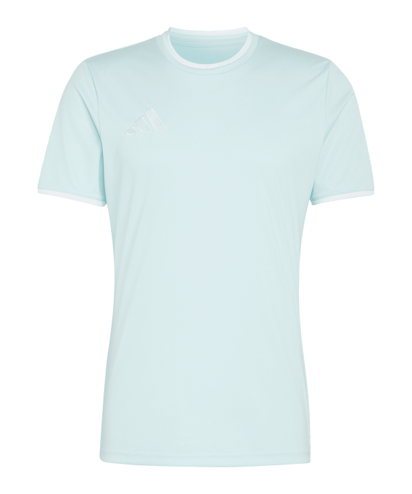 adidas Entrada 26 Trikot Türkis 
