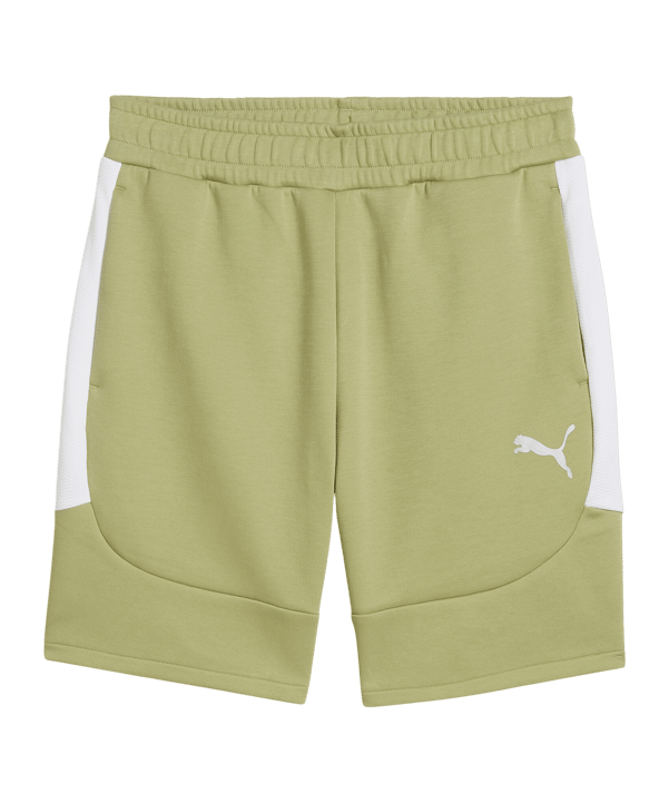 PUMA teamEVOSTRIPE Short Grün F40 