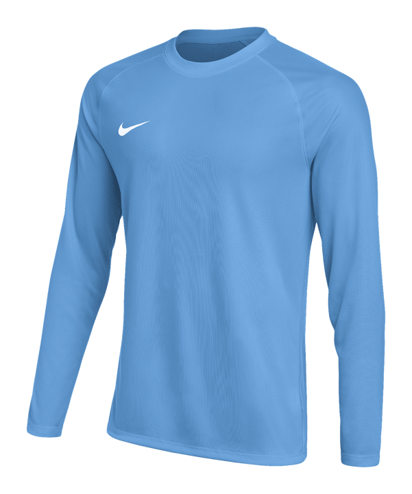 Nike Park VIII Trikot langarm Blau F412 