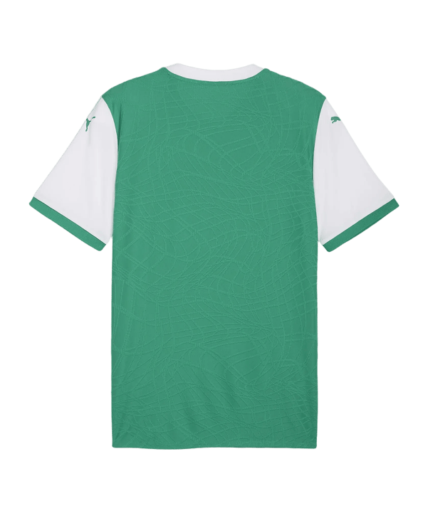 PUMA teamFINAL26 Knit Trikot Grün F05 - gruen