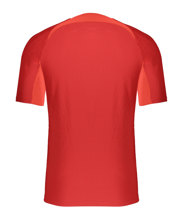 Nike Dri-FIT ADV Vapor 4 Trikot Rot F657 - rot