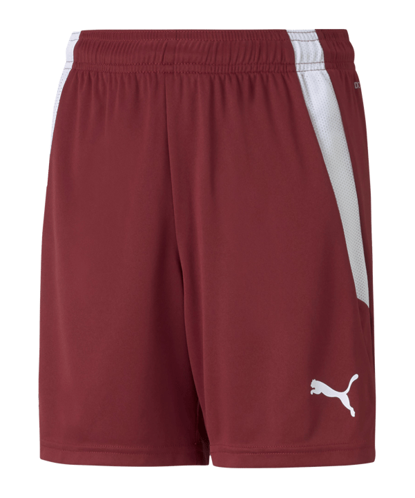 PUMA teamLIGA Short Kids Rot Weiss F09 - rot