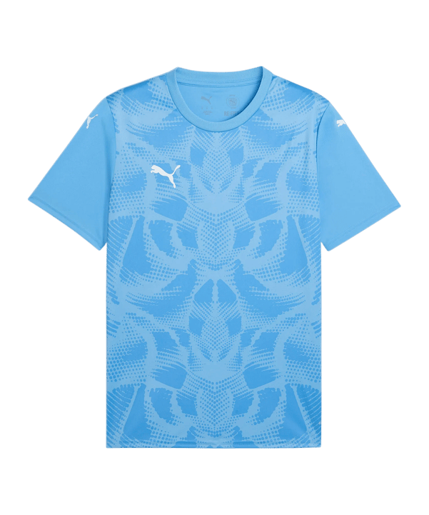 PUMA teamULTIMATE Trikot Blau F18 