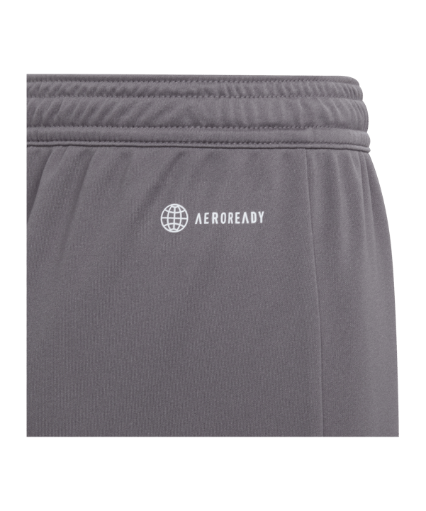 adidas Entrada 22 Short | Grau - grau