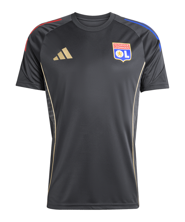 adidas Olympique Lyon Trainingsshirt Grau - grau