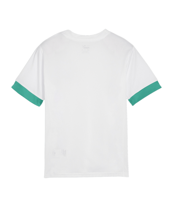 PUMA teamGOAL Matchday Trikot Kids Weiss Grün F15 - weiss