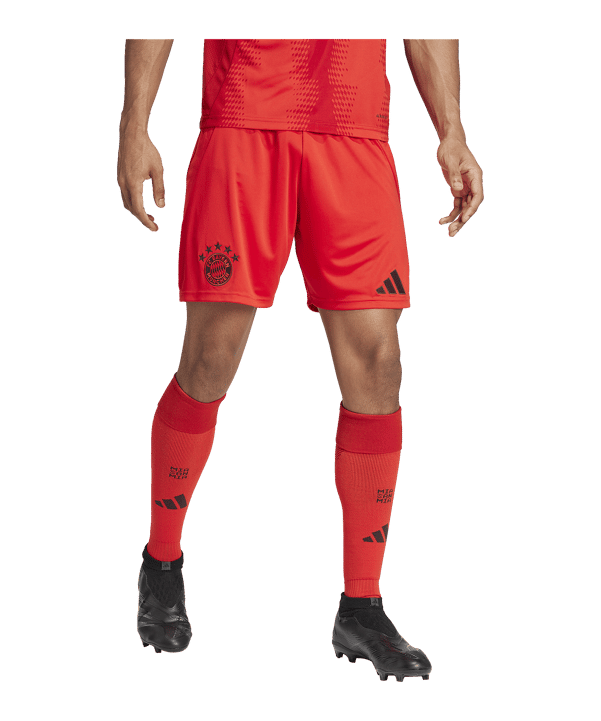 adidas FC Bayern München Short Home 2024/2025 Rot - rot
