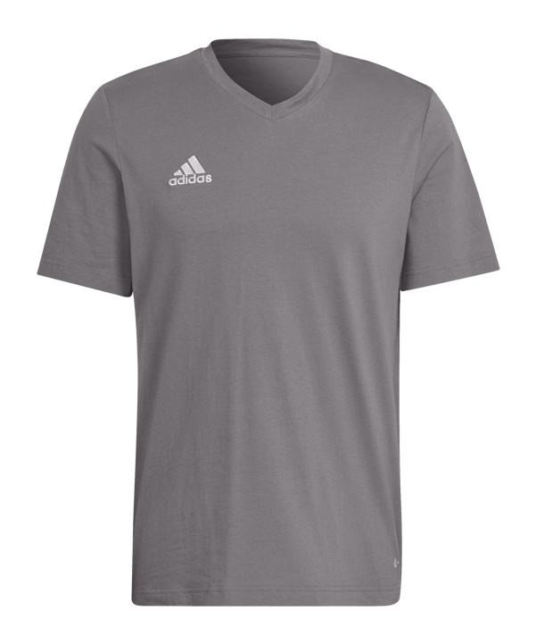 adidas Entrada 22 T-Shirt Grau - grau