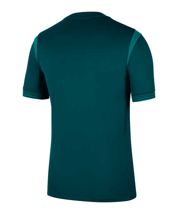 Nike Nigeria Trikot Home 2025/2026 Grün F483 - gruen