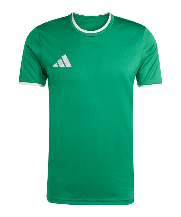 adidas Entrada 26 Trikot Grün 