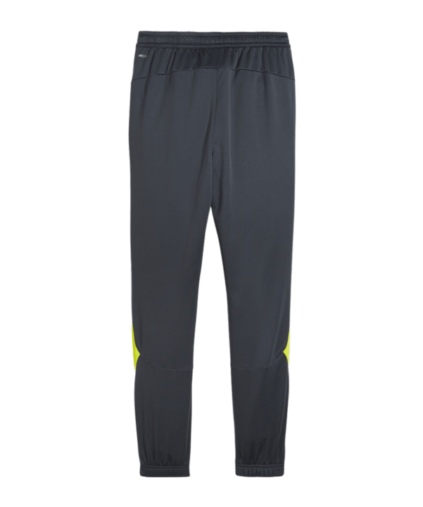 PUMA KING Pro Training Pant Grau Grün F05 - grau