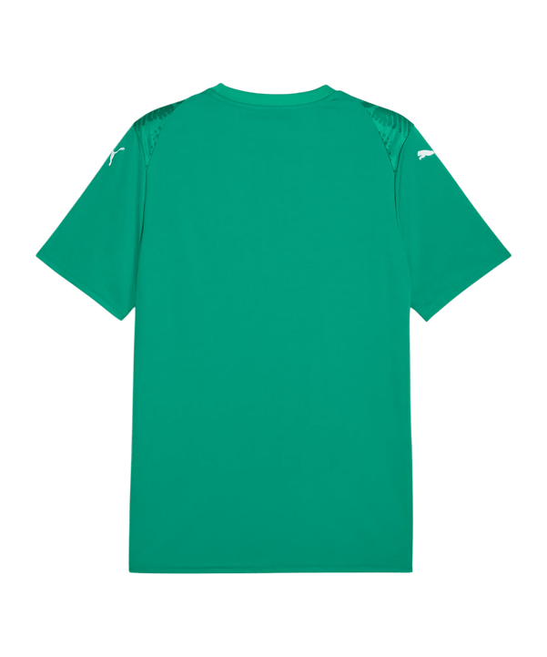 PUMA teamULTIMATE Trikot Grün F05 - gruen