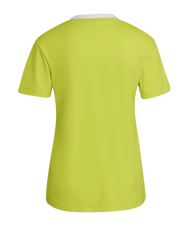 adidas Entrada 22 Trikot Damen Grün Weiss - gruen