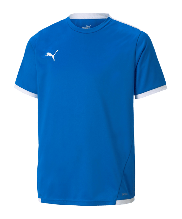 PUMA teamLIGA Trikot Kids Blau F02