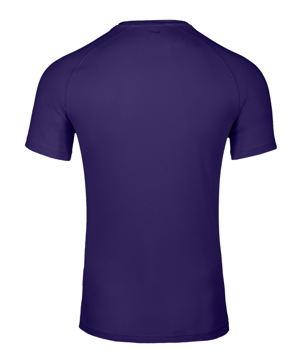 Nike Park VIII Trikot Lila F547 - lila