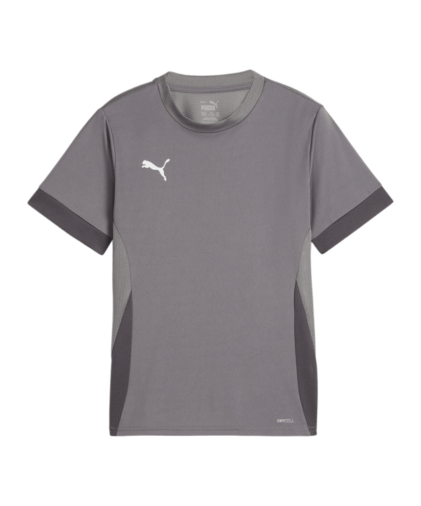 PUMA teamGOAL Matchday Trikot Kids Grau Weiss F13