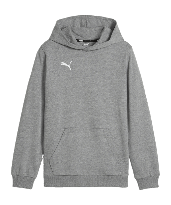 PUMA teamGOAL Casuals Hoody Kids Grau F33 - grau