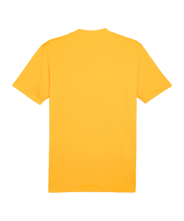 PUMA teamGLORY Trikot Orange Schwarz F61 - orange
