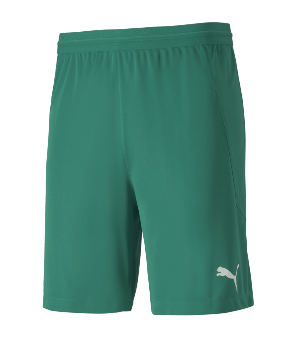 PUMA teamFINAL 21 Knit Short Grün F05