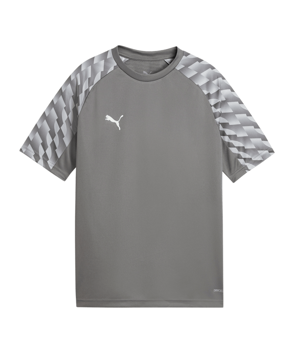 PUMA teamLIGA26 Trikot Kids Grau F13 