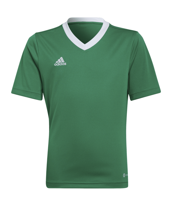 adidas Entrada 22 Trikot Kids Grün