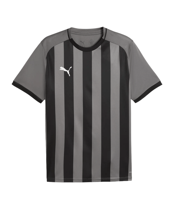 PUMA teamLIGA26 Striped Trikot Grau F13 