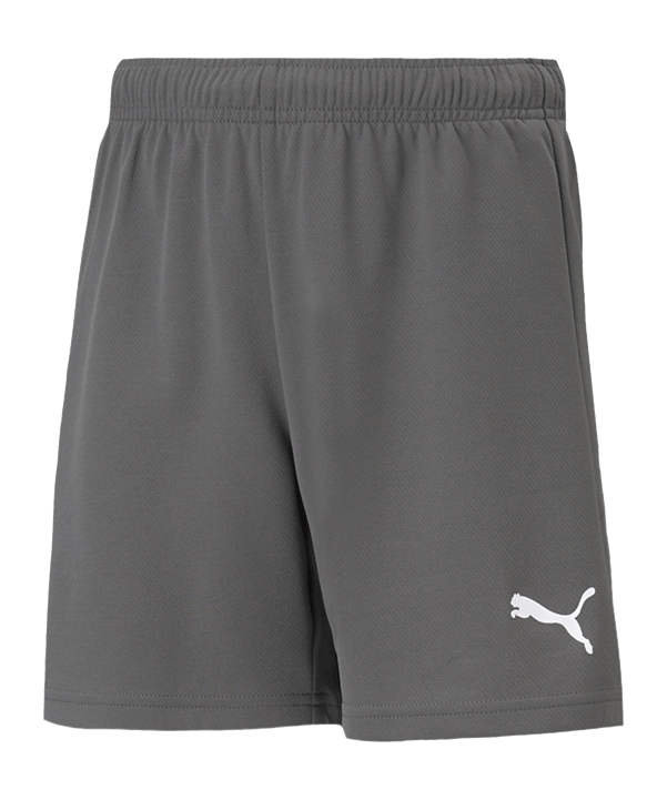 PUMA teamRISE Short Grau Weiss F13