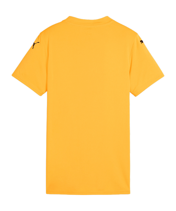 PUMA teamGLORY Trikot Damen Orange Schwarz F61 - orange